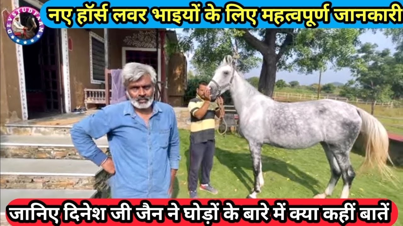 Horse Information || Dinesh jain (part2)