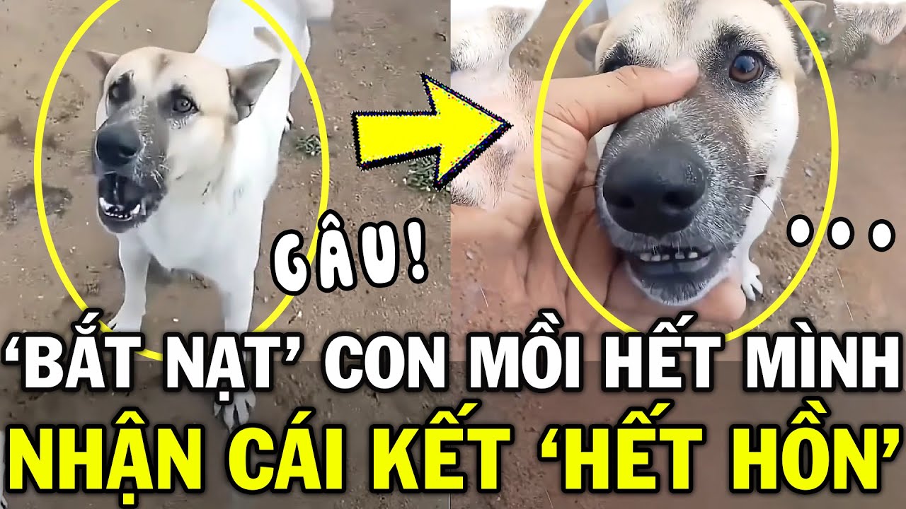 Bị TRÙM CUỐI trong làng lao ra GÂY GỔ, thanh niên có pha phản đòn GÂY LÚ khắp cõi mạng |Gen Z Review