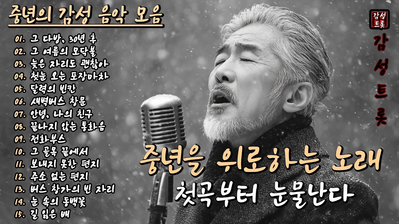 첫곡부터 눈물난다🍂 | 중년의 마음을 위로하는 감성 트로트 15곡 모음 (Part.04)🎵 | #감성트롯 #중년음악 #7080음악