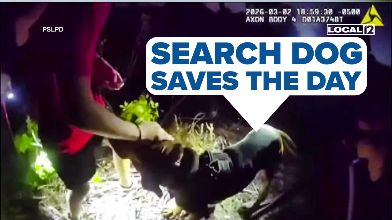 VIDEO: Police bloodhound tracks missing autistic teen mile away in wooded area