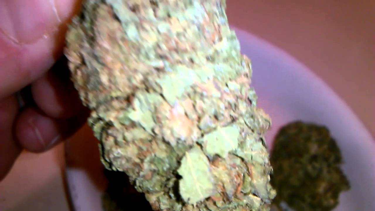 Granddaddy purple review