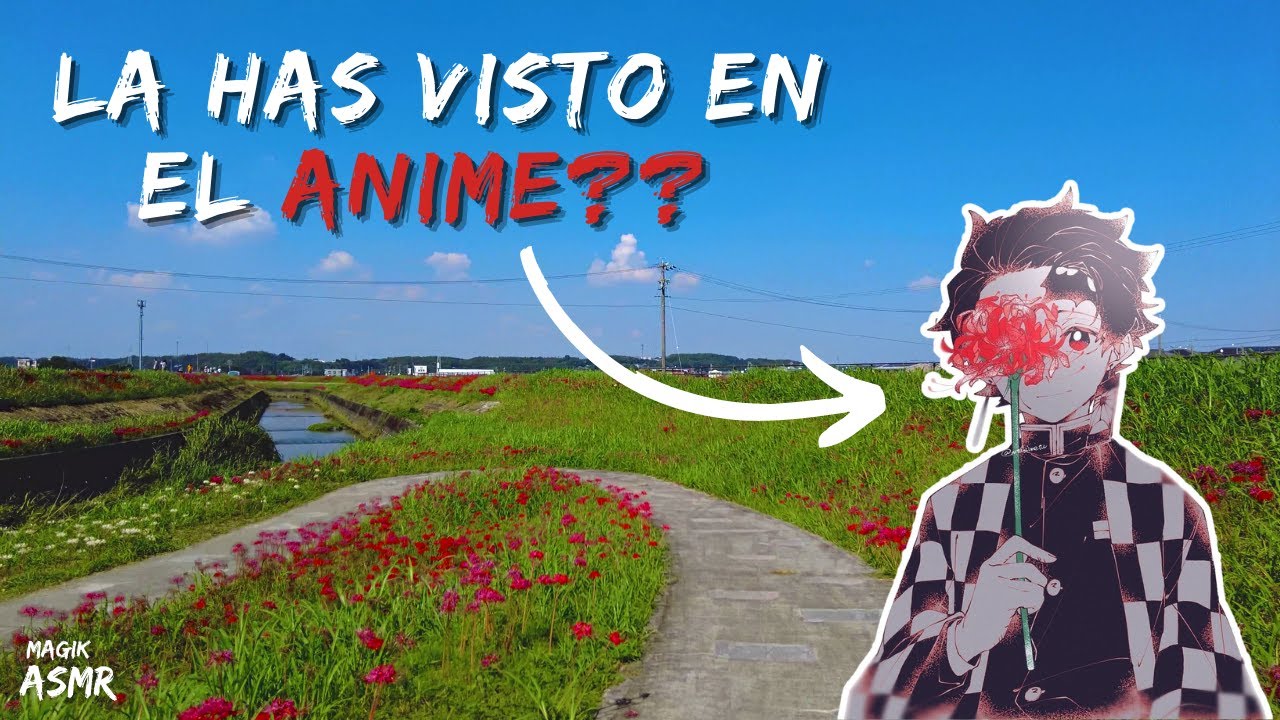 ASMR La FLOR del ANIME te cuento la LEYENDA | MagiK
