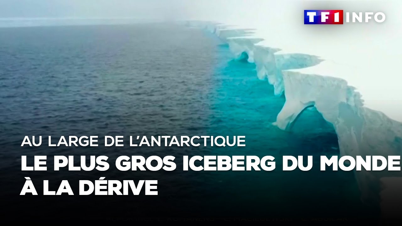 Au large de l'Antarctique, le plus gros iceberg d&eacute;rive et menace une &icirc;le britannique ｜TF1 INFO