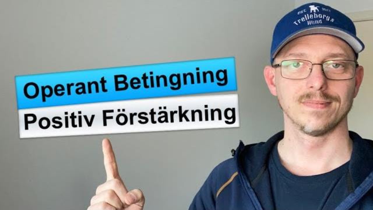 Hundträning - Operant betingning Del 1 - Positiv Förstärkning