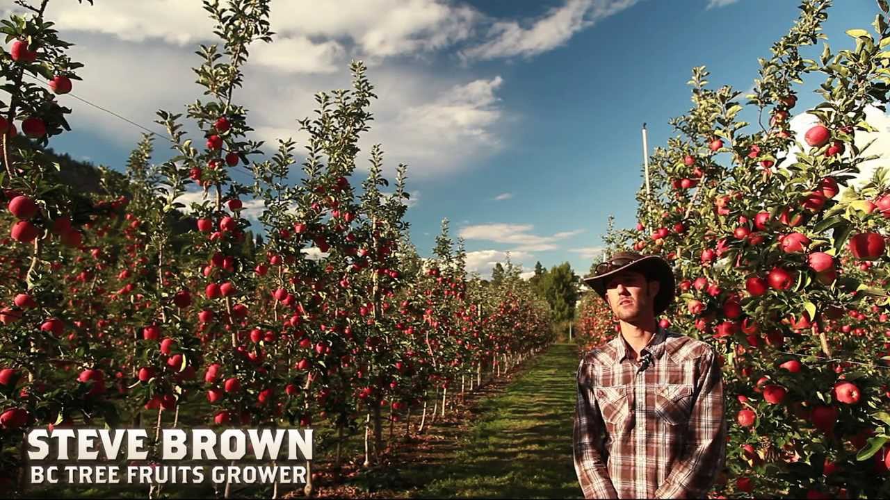 BC Tree Fruit Grower - Meet the Brown Family