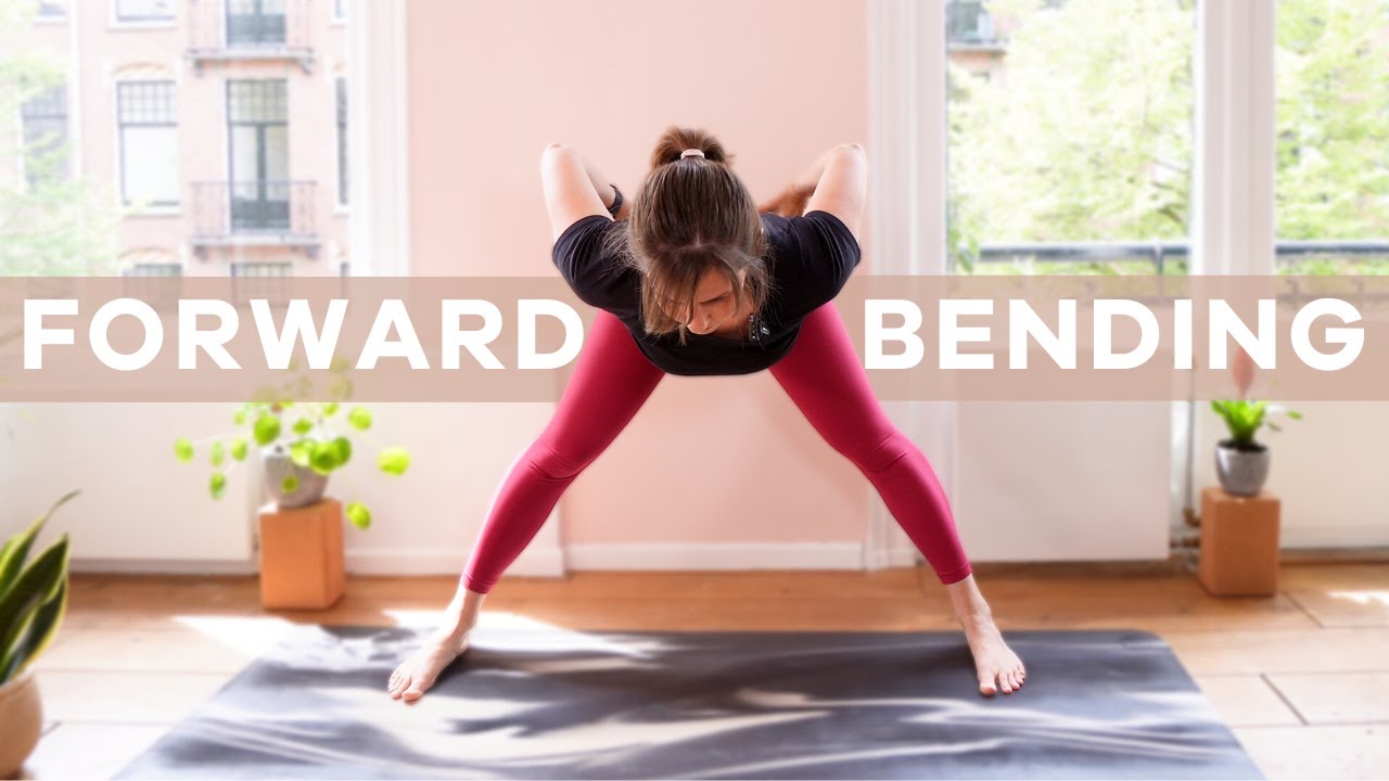 Forward Bending Yoga Poses for Beginners // Vinyasa Krama