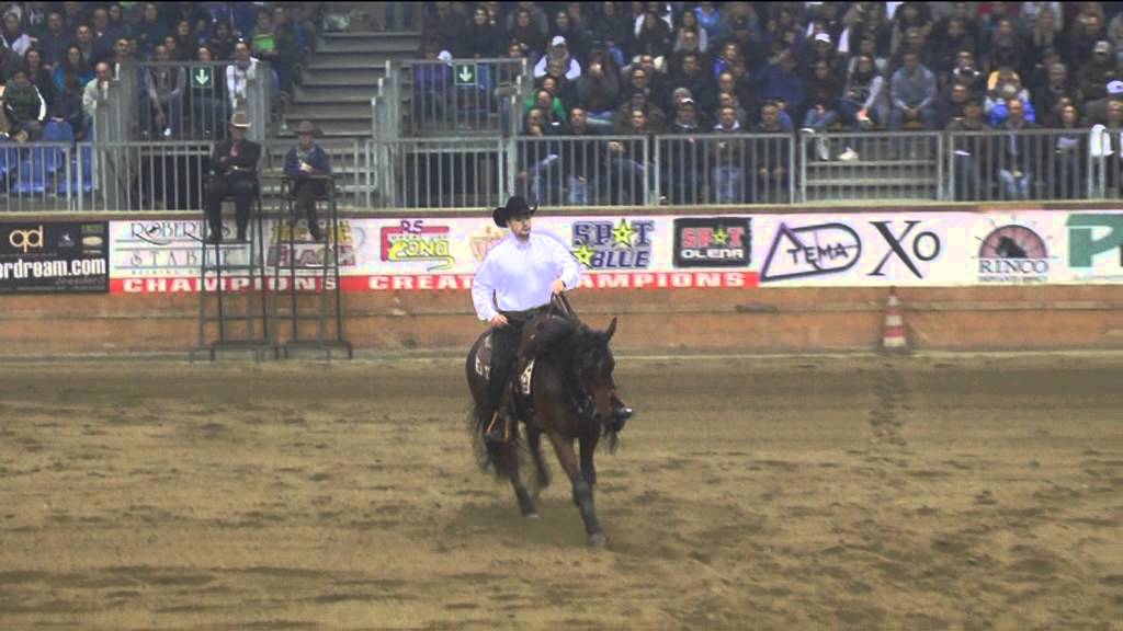 MARKUS GEBERT - CHARLY STEP N COOL - FUTURITY OPEN LEV1-4 CHAMPION 2013