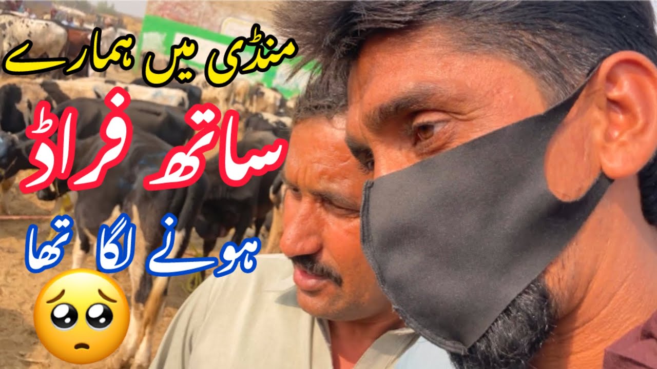 Mandi Ka Tajrba Aur Hairankun Waqia - A Story of Wealth & Mysticism😱|first Vlog|#villagevlog#cattle