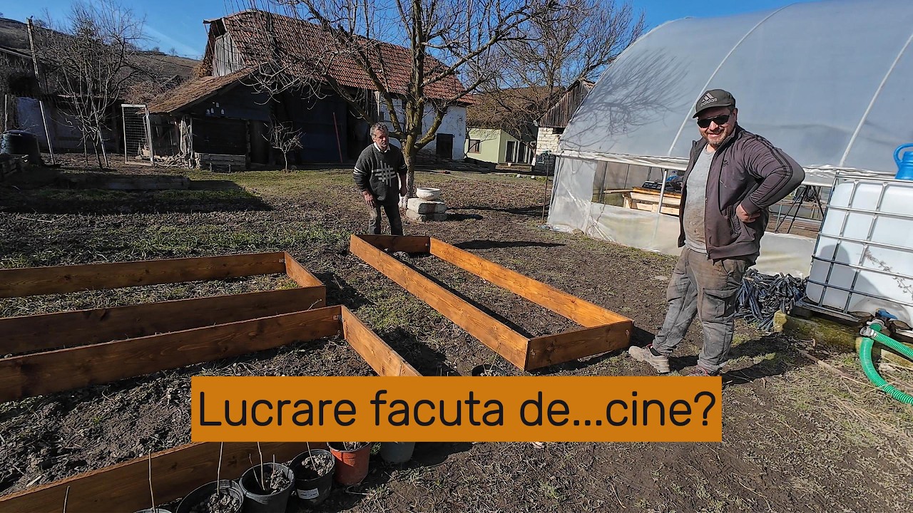 Am inceput primavara in forta