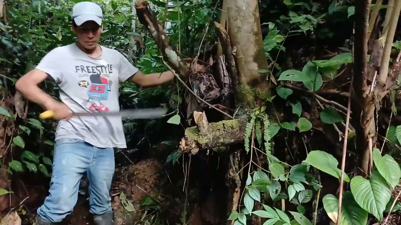 Limpiamos toma de agua Amazonia 