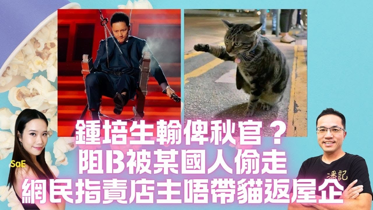 鍾培生吊威也求婚 身形功夫輸俾秋官？藥房貓阻B被某國人偷走｜網民指責店主唔帶貓返屋企