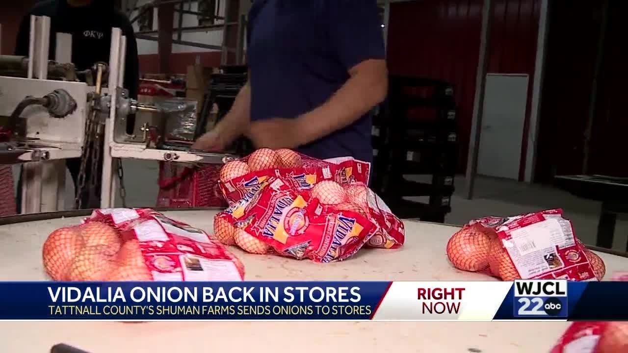 Shuman Farms pack Vidalia onions to be sent off to stores