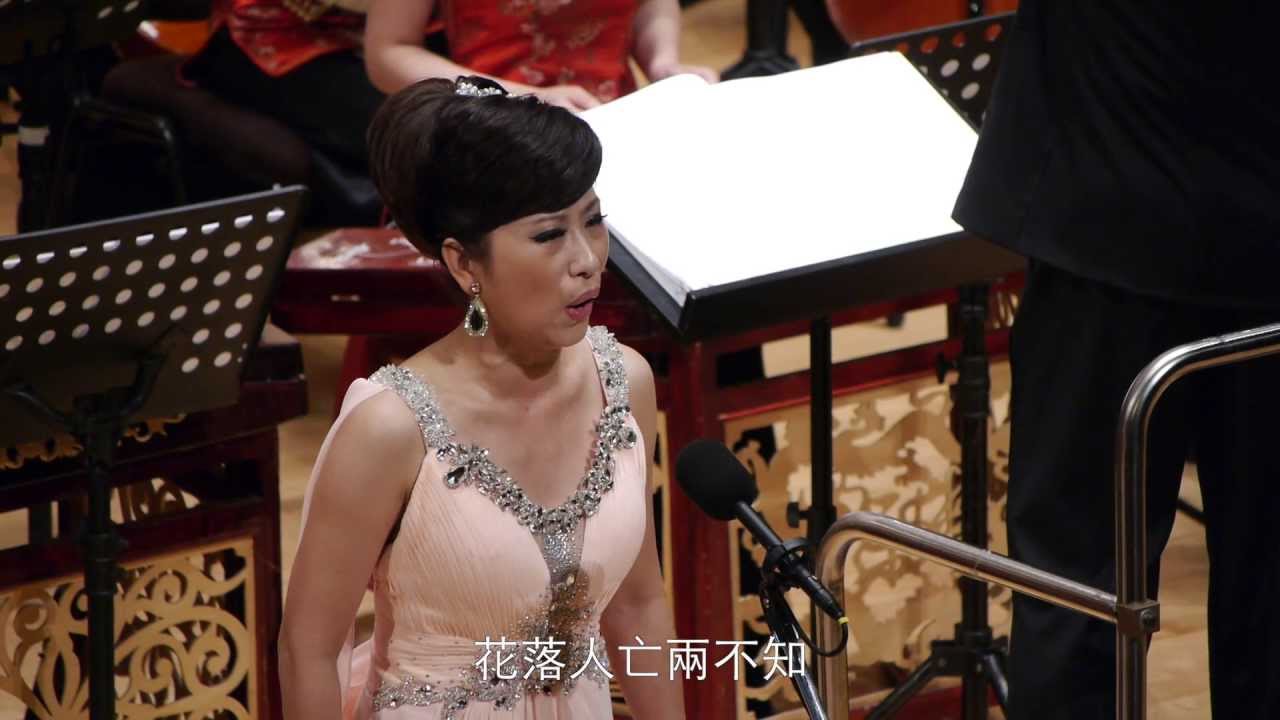 《葬花吟》  演唱/崔蕊 Poem of Flower Burial Dream of the Red Chamber Concert