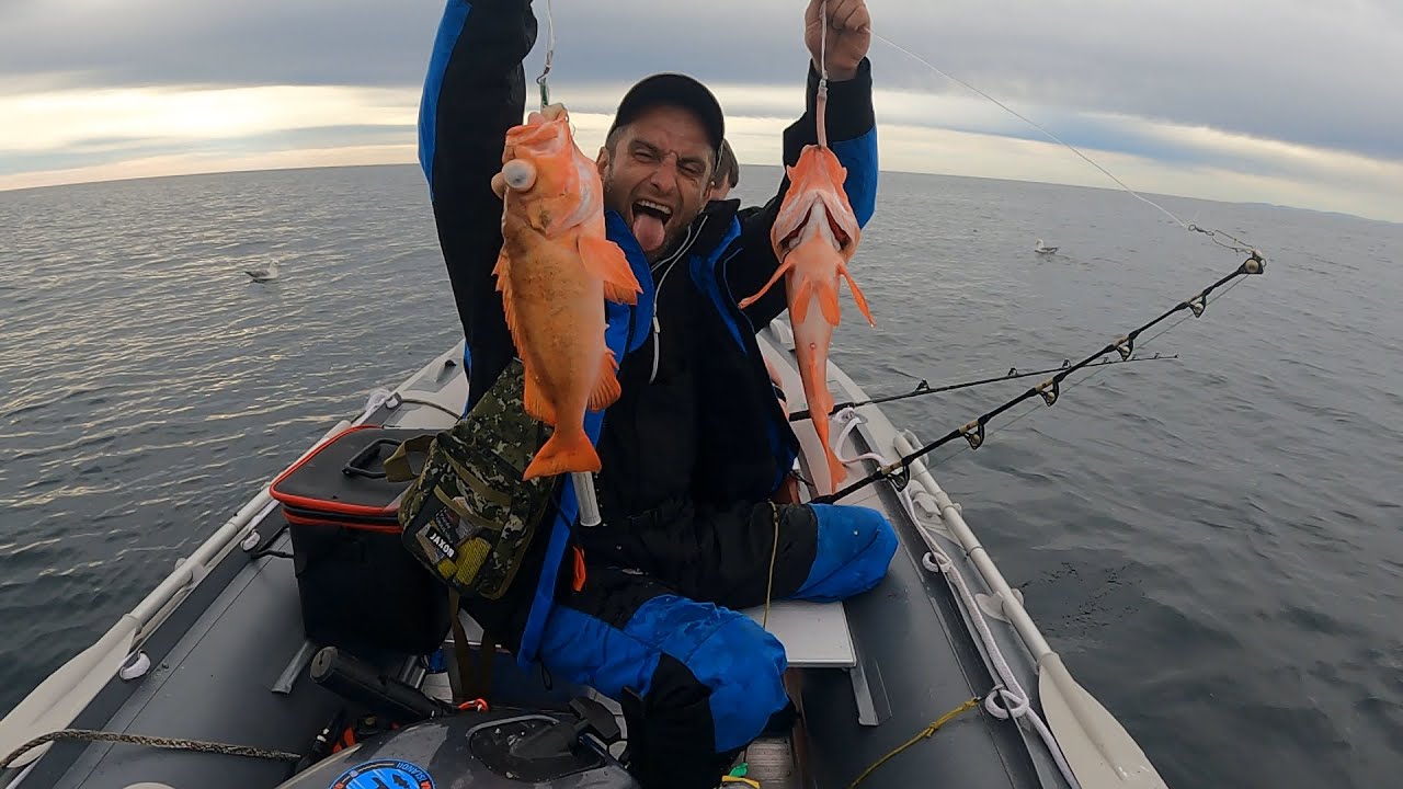 KARMAZYNY Z 200 METRÓW NA ŁABĘDZIE PIÓRO