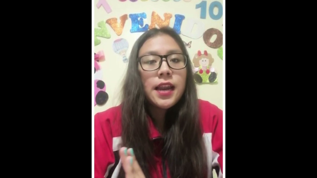 Mi lapbook de ritmos y estilos de aprendizaje Lic primaria 5ºsem