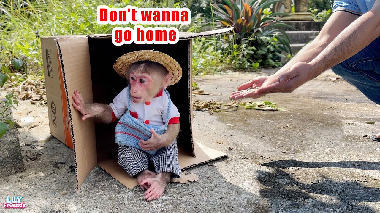 Lily's emotional journey to find her dad!