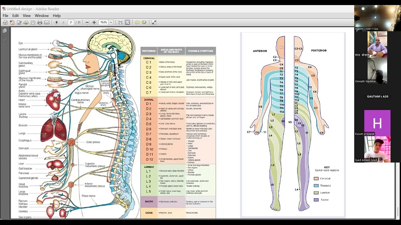 Day 5 – Three Point Protocol | Navel and Spine Diagnosis | TCM