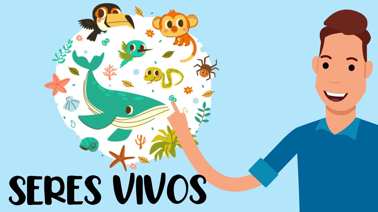 RESUMO - CARACTER&Iacute;STICAS GERAIS DOS SERES VIVOS