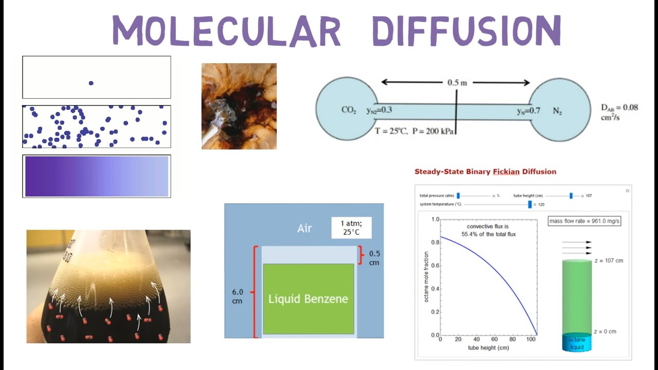 Section 3 Overview -  Molecular Diffusion in Mass Transfer (Lec109)