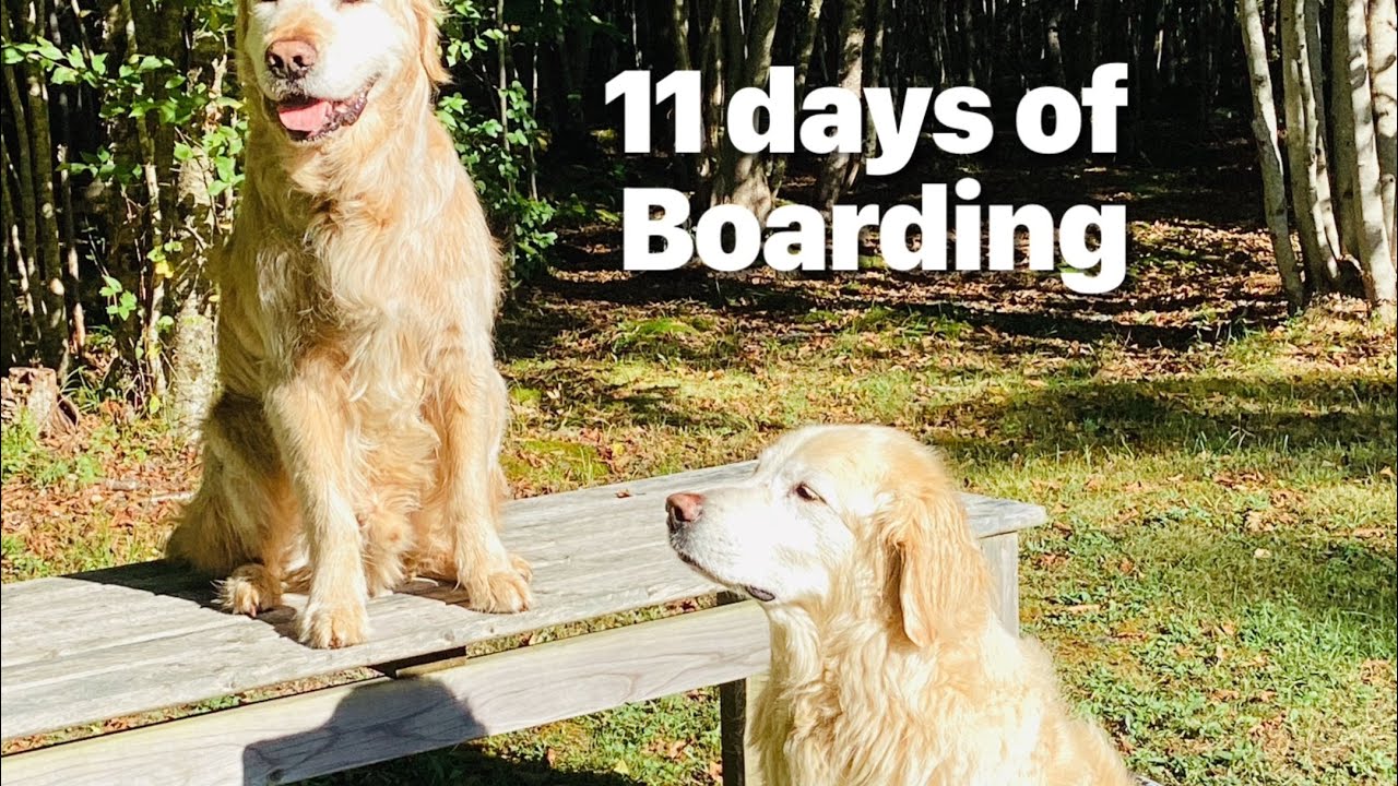 Food for your soul: relaxing with Denver & Decker on their September boarding holiday