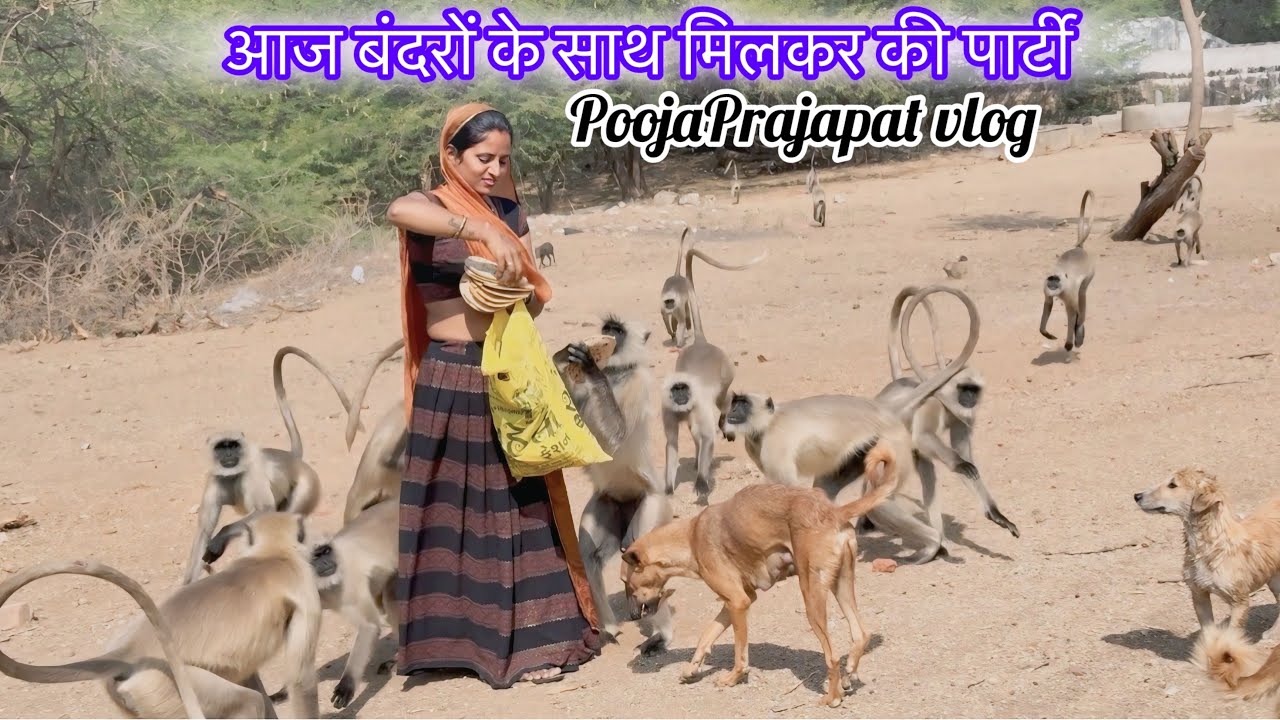 आज बंदरों के साथ मिलकर की पार्टी 🤭॥ PoojaPrajapat daily vlog 