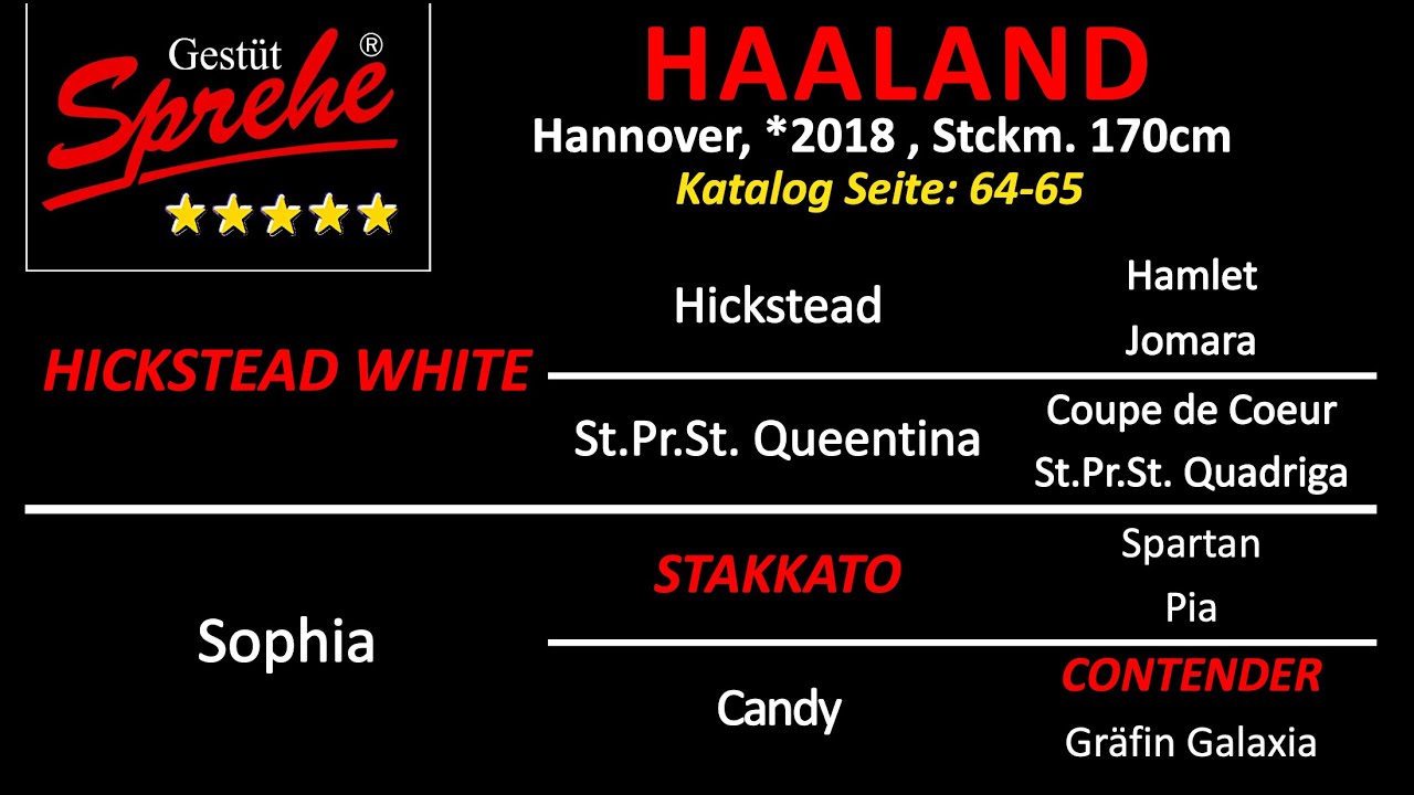 Haaland v. Hickstead White - Stakkato - Contender - Graf Grannus
