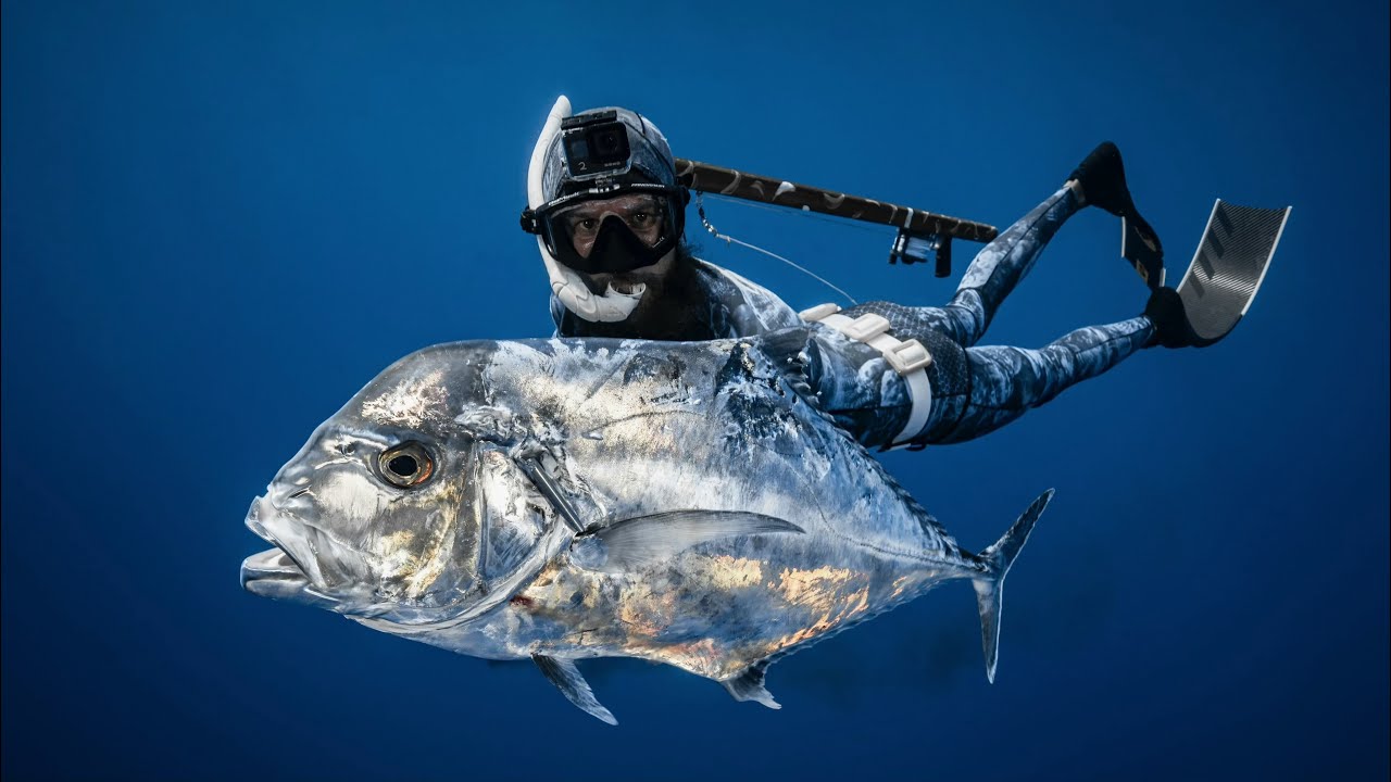 One Hell of a Morning | African Pompano | Hidden Intentions
