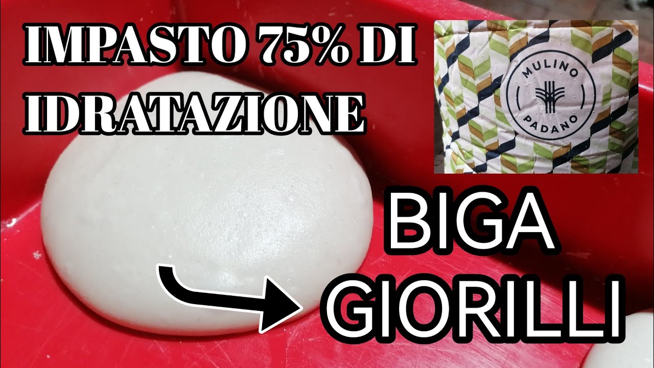 Impasto 100% biga GIORILLI (o quasi..)