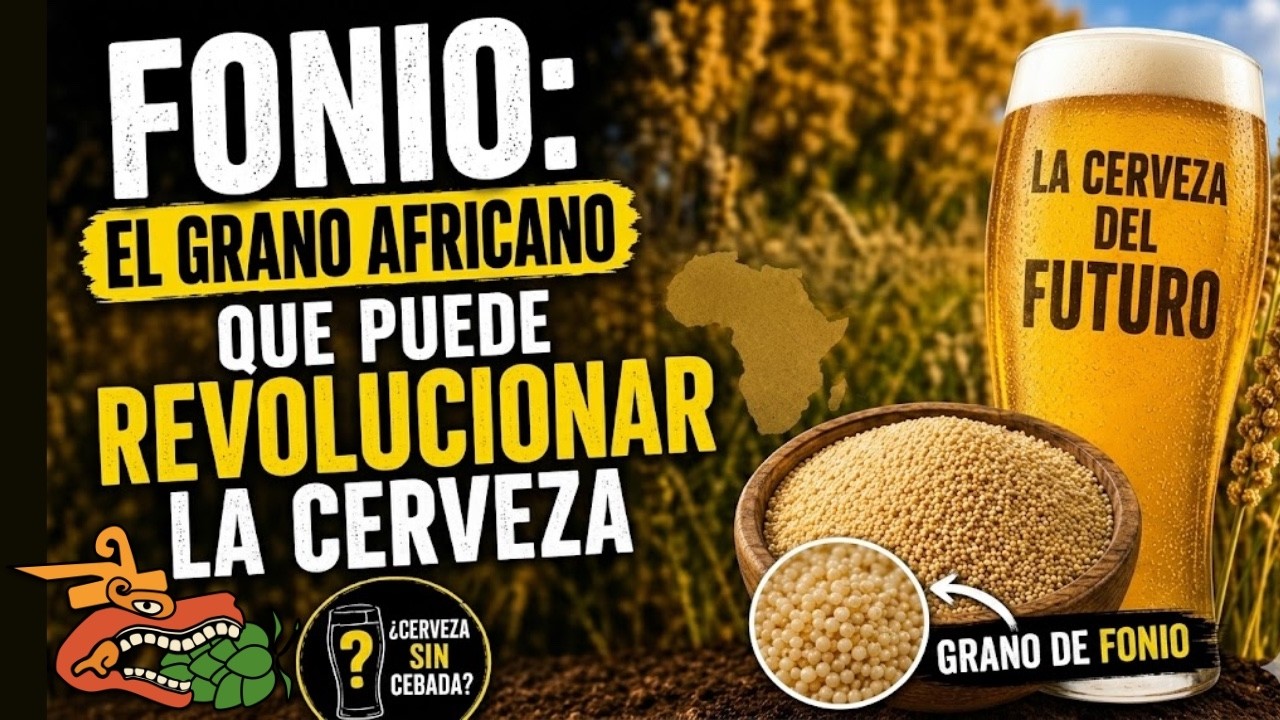🌍 La Cerveza M&aacute;s Sustentable del Mundo: Todo Sobre el Fonio