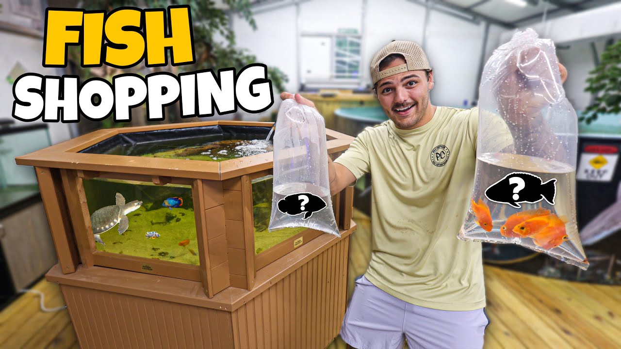 FISH SHOPPING SPREE for My NEW 200G POND!!