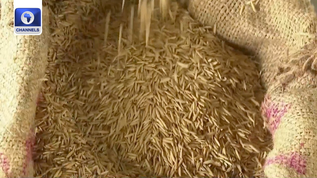 Food Prices Tapering, S’Africa Growth, Rwanda, Tanzania Growth +More | Business Morning