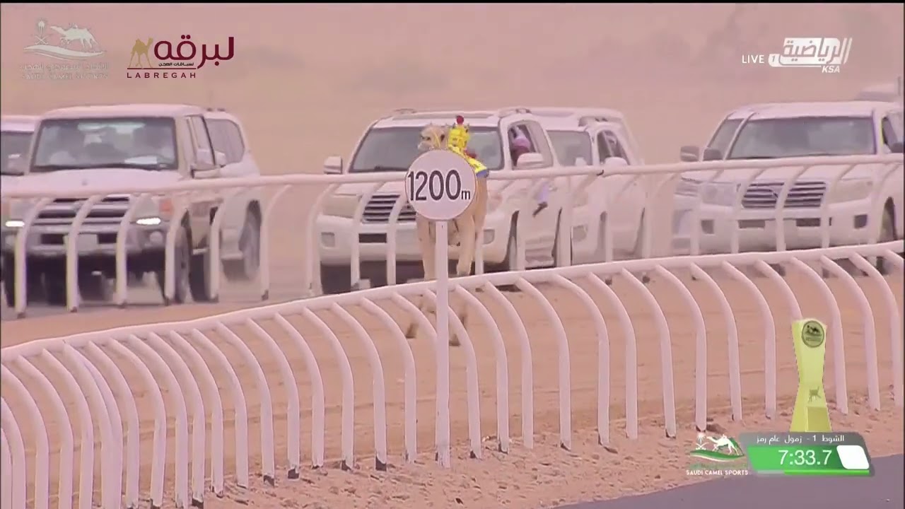 ش1 مبلش لـ مهدي حمد فارس ال منجم اليامي (كأس الإتحاد السعودي للهجن) كأس الزمول عام 9:46:20