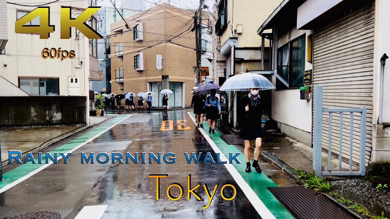 [4K] Nishi-Oi, Heavy Rain morning walk in Tokyo, Japan. #asmr #rainyday