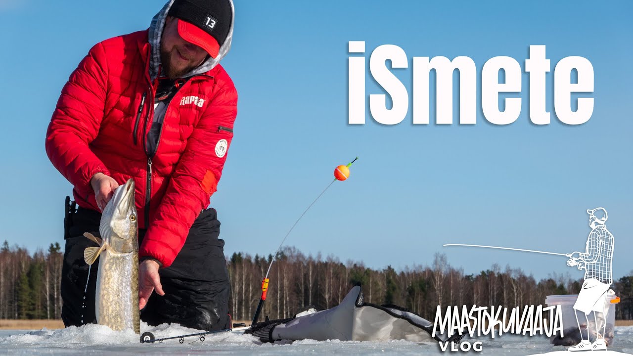 TÄKYHAUKIMESTARI kertoo kaiken