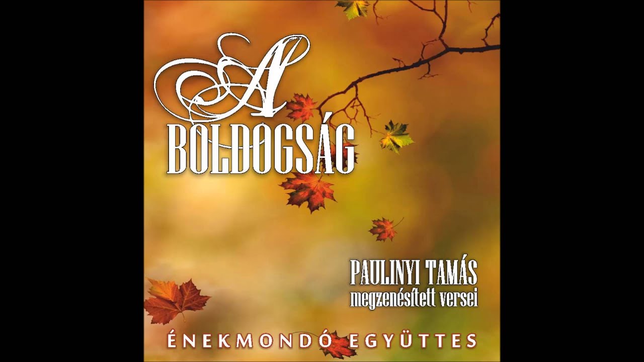 Paulinyi Tam&aacute;s: A Boldogs&aacute;g (&Eacute;nekmond&oacute; egy&uuml;ttes)