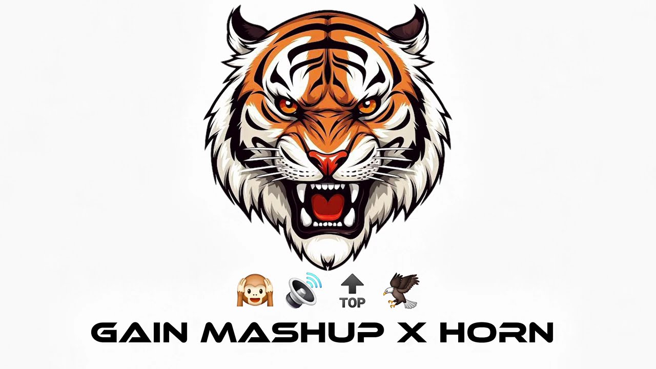 GAIN MASHUP X HORN - UNREALISED GAIN 