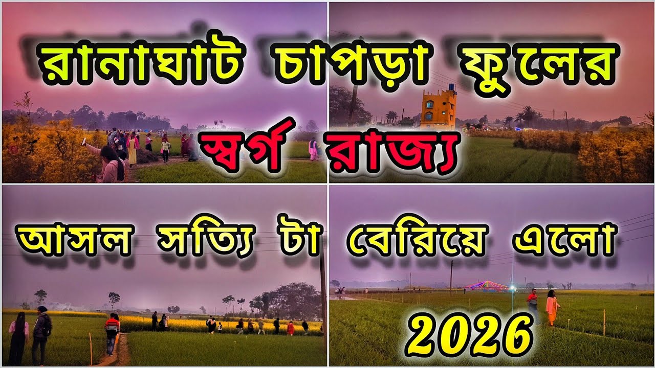 রানাঘাট চাপড়া ফুলের স্বর্গ রাজ্য আসল সত্যি টা বেরিয়ে এলো 🚫। Ranaghat chapra flower valley 2026।