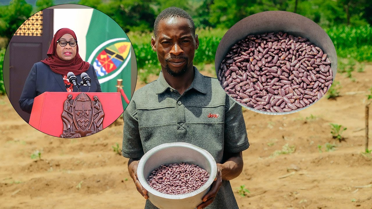 MAHARAGE JESCA  SULUHISHO  LA UDUMAVU NA NGUVU ZA KIUME - IRINGA