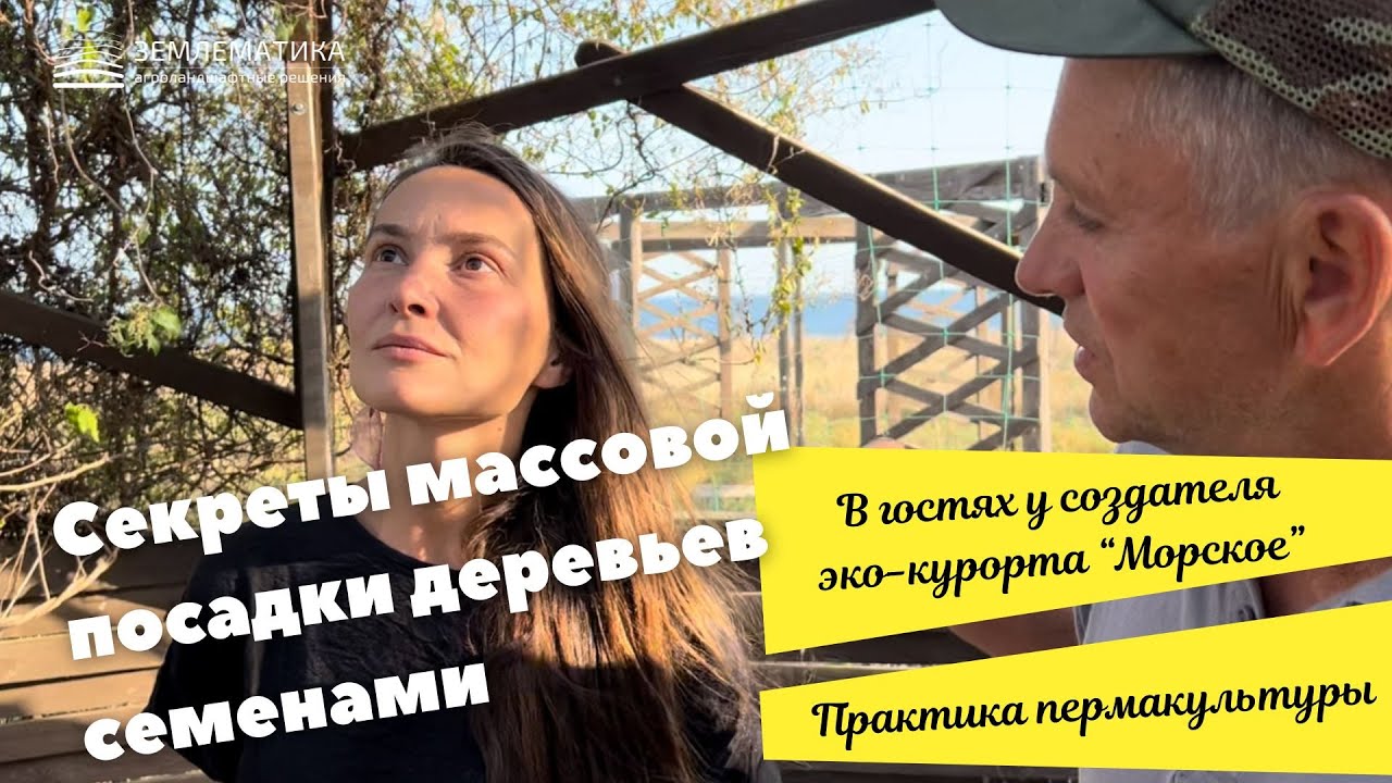 Крымская фисташка. Лесосад в степи и что делать, когда посадить нужно сразу много саженцев!