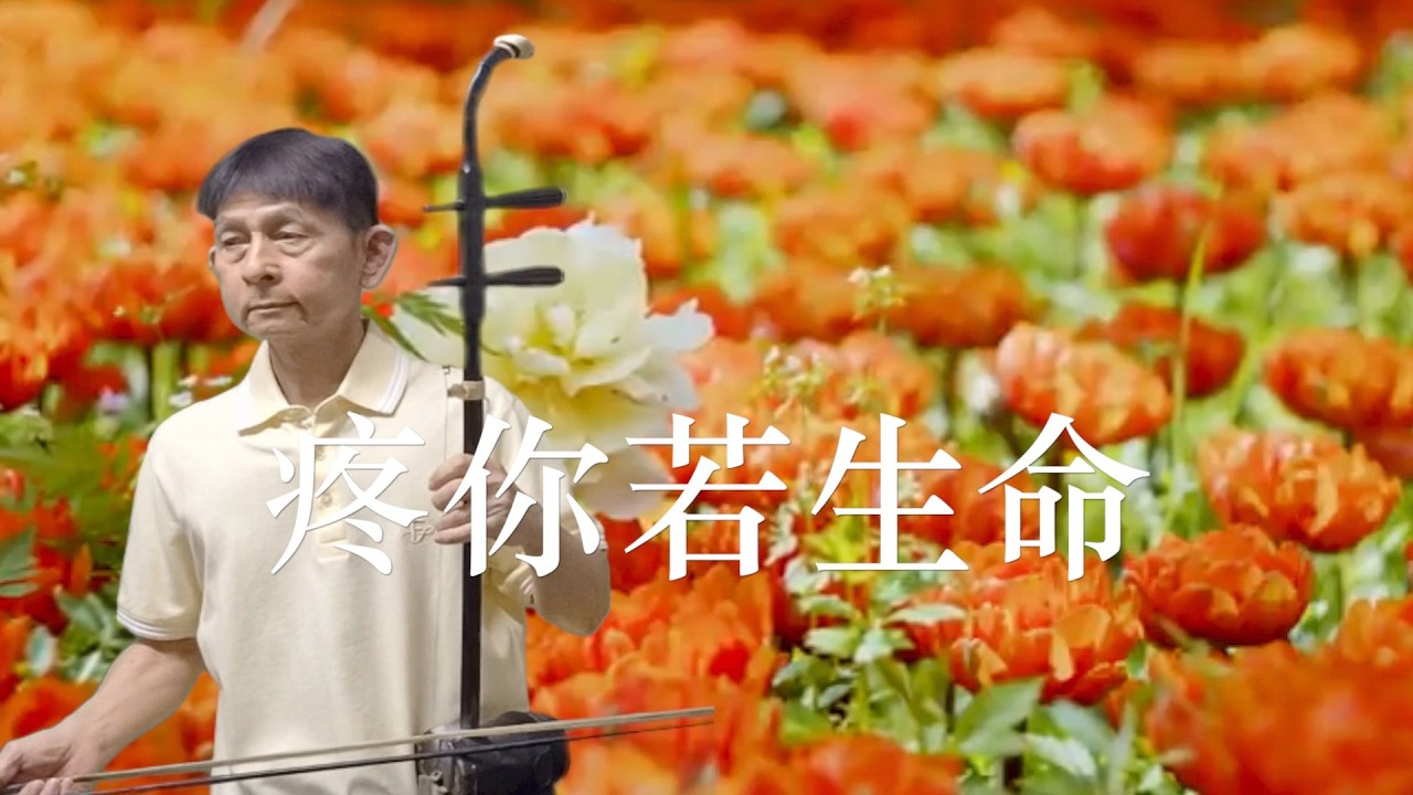 疼你若生命一蔡小虎，台語經典流行樂。二胡演奏（伴唱） 陳亮君老師。Oriental music, Erhu performance