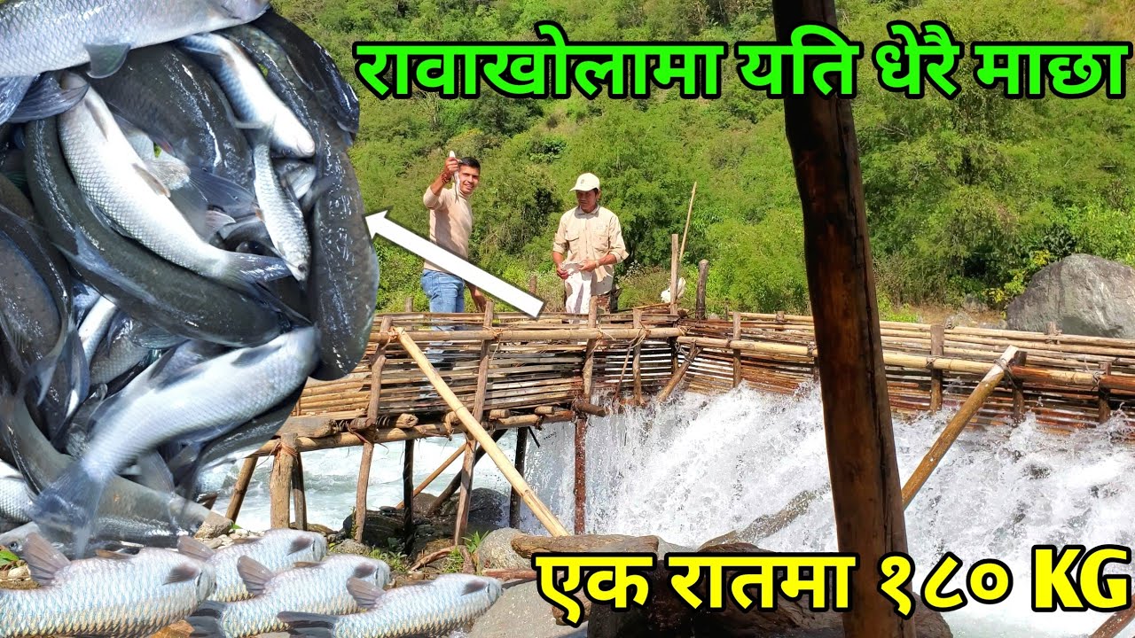 Amazing Fishing Video #fishing #nayagoreto