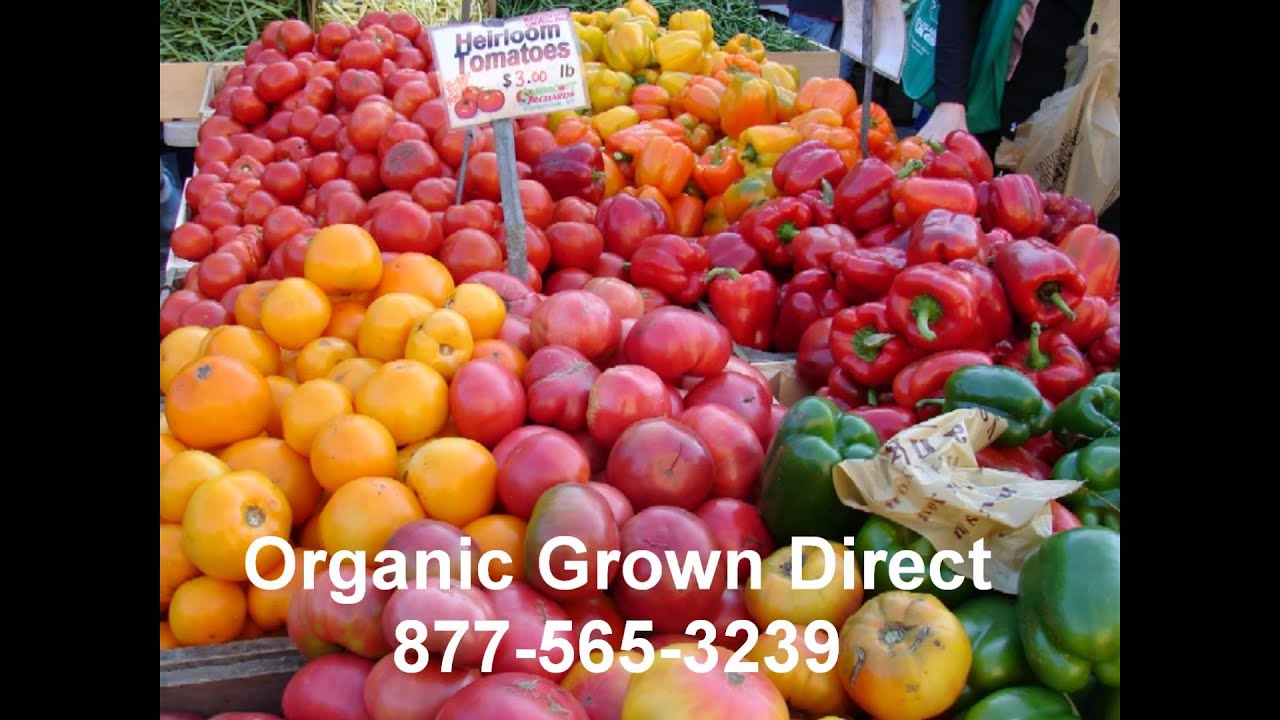 Organic Food Coral Springs Farmers Market 877-565-3239