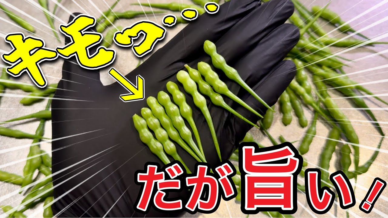 【キモ旨】芋虫みたいな見た目の美味しいタネ