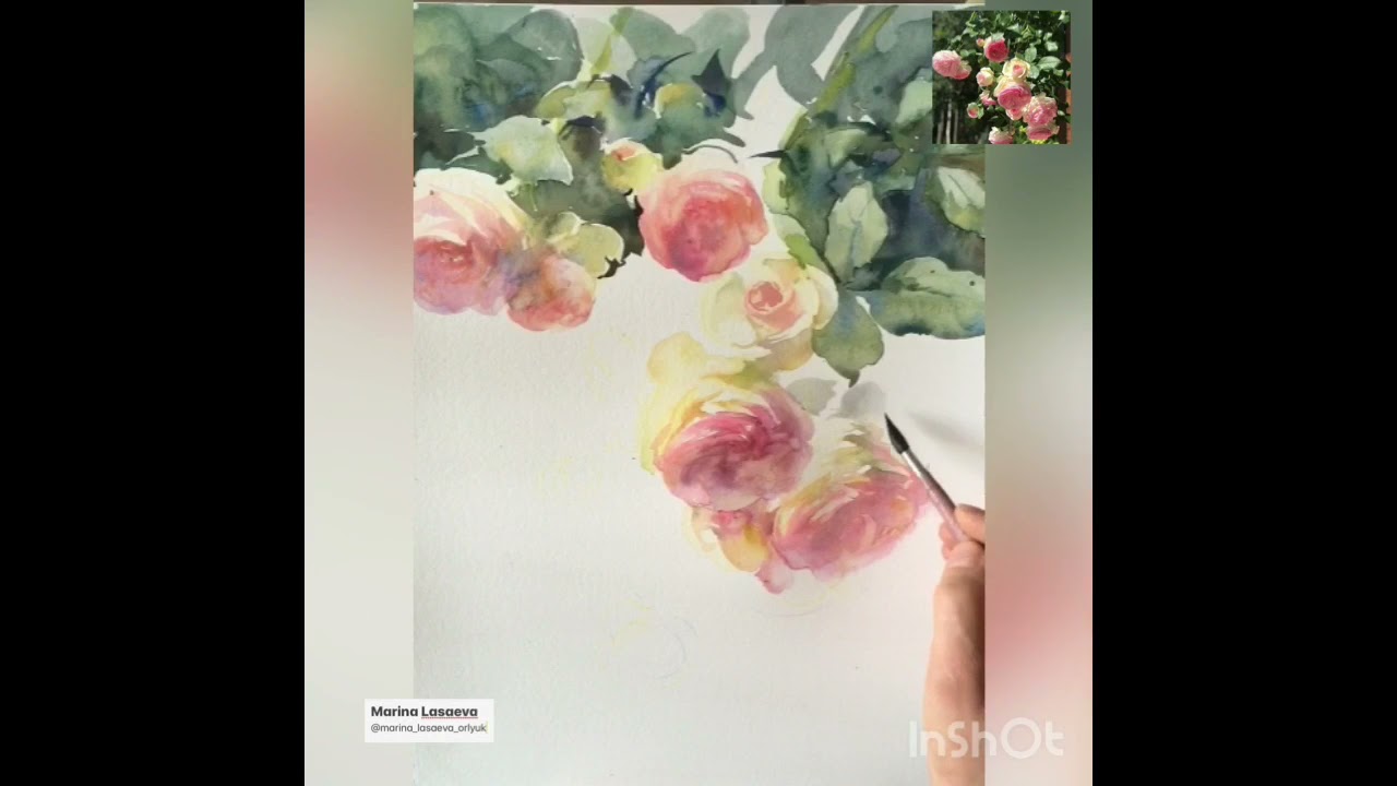 Ветка розы, акварель / watercolour roses