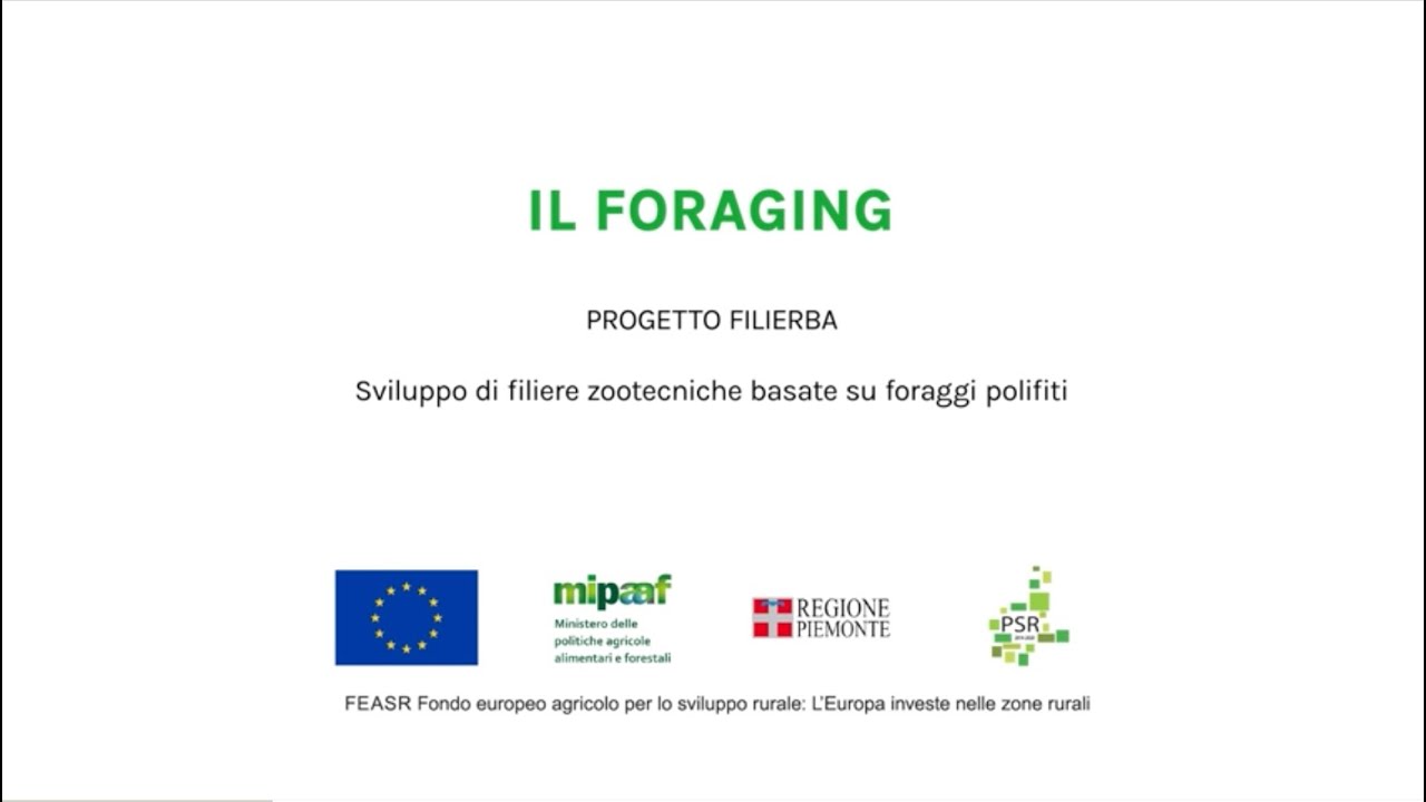 Il Foraging - la ricerca di piante alimentari spontanee