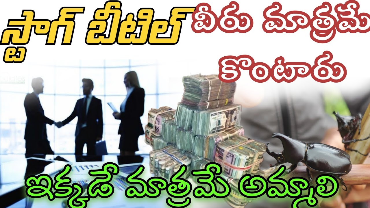 How to sell a Stag beetle స్టాగ్ బీటిల్  ఎక్కడ అమ్మాలి   