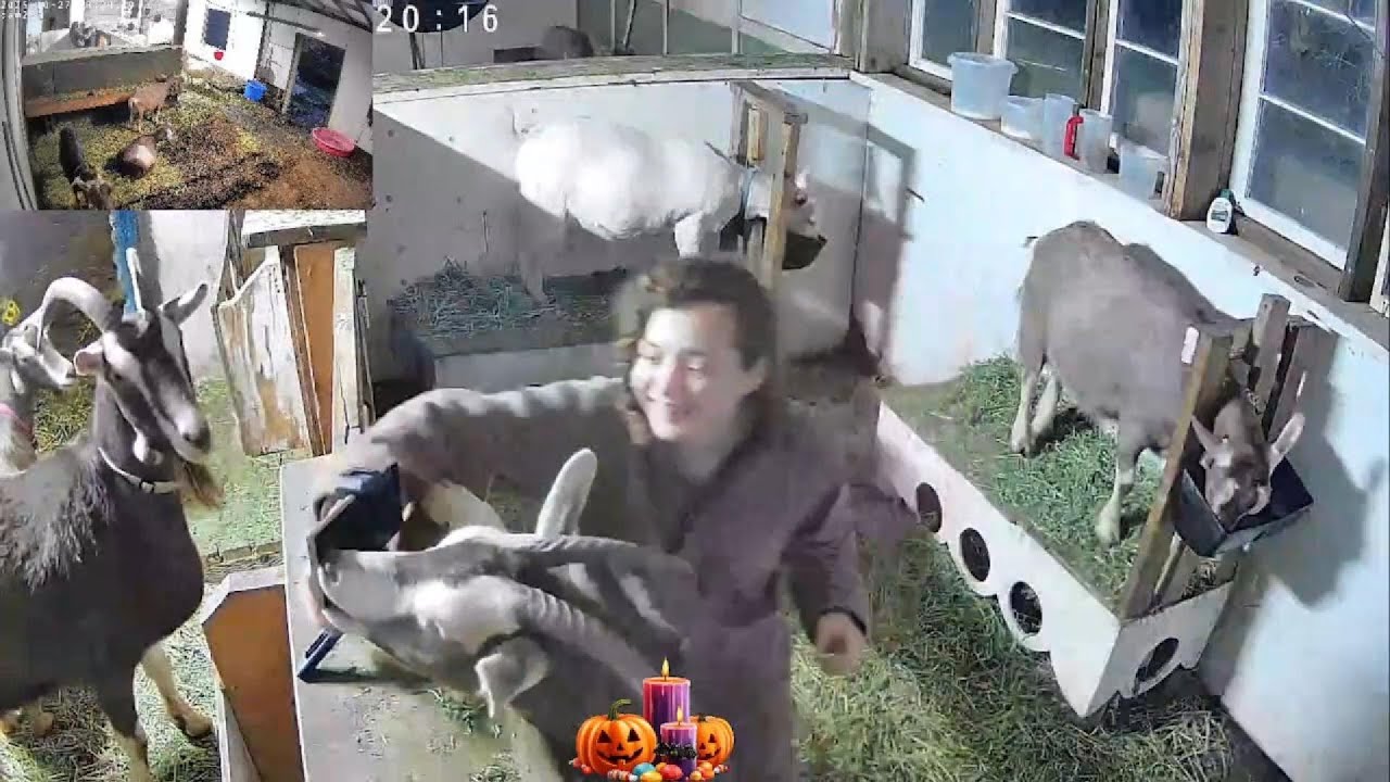 High Tech Goat Bloopers