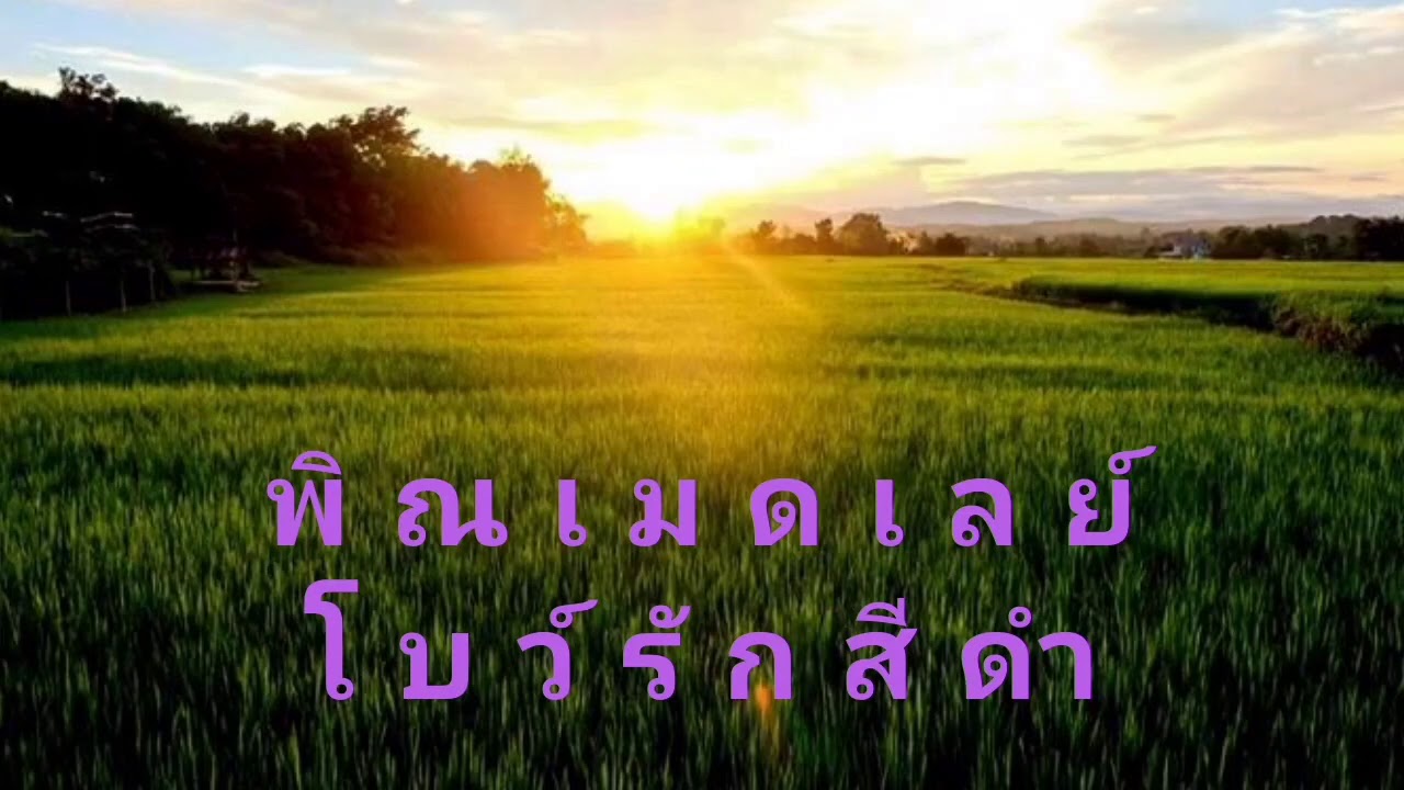 สายพิณ-เมดเลด์ โบว์รักสีดำ