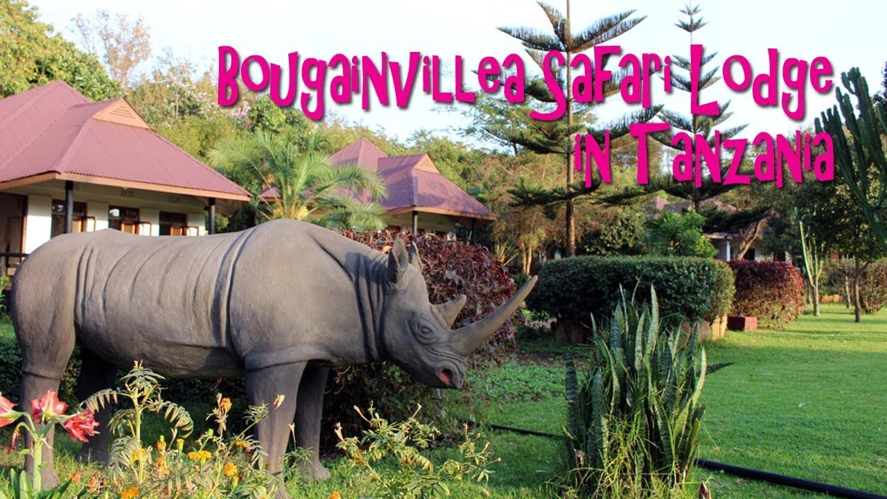 Bougainvillea Safari Lodge,Tanzania【 Travel Africa うろうろアフリカ 】タンザニア旅行