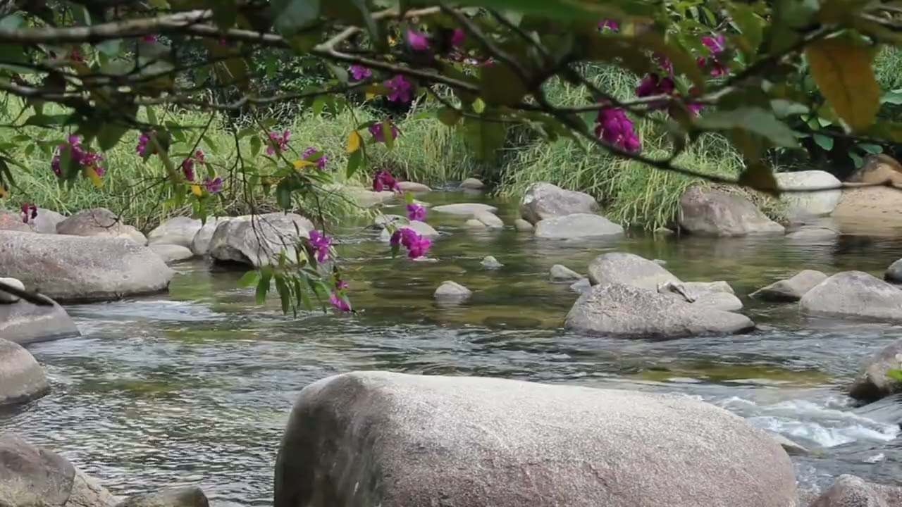 Continuous Flowing Water ASMR Soundscape for Relaxation, Meditation, Yoga, and Deep Sleep